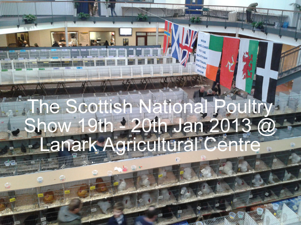 The Scottish National Poultry Show 19th - 20th Jan 2013 @ Lanark Agricultural Centre