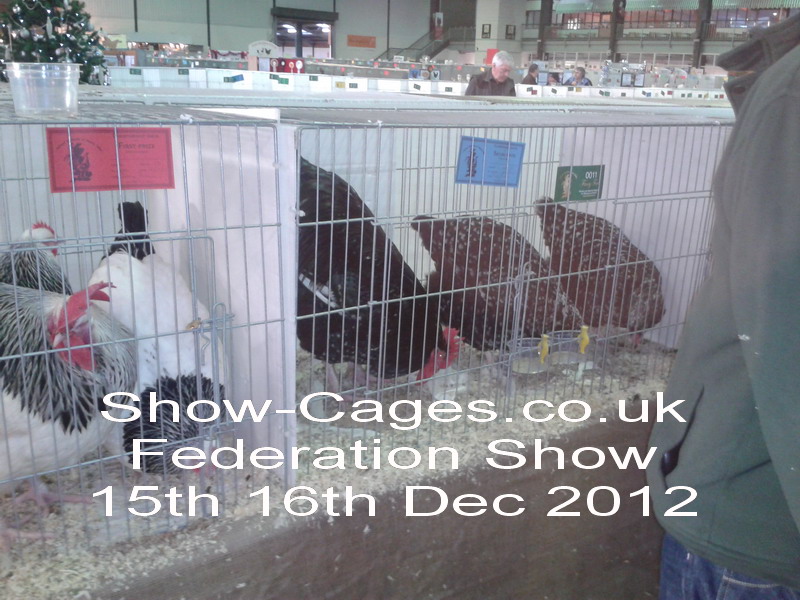 federation show 2012 trio