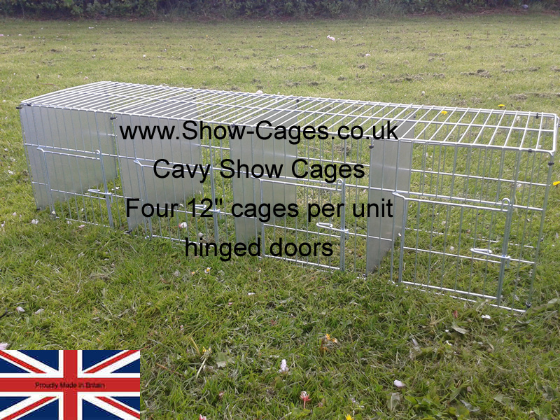 12" quad cavy show pens for cavies.